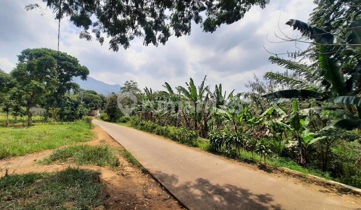 Dekat Jl Raya Cipadung! Kavling Padat Siap Bangun di Palasari Dekat Jl Raya Cipadung! Kavling Padat Siap Bangun di Palasari