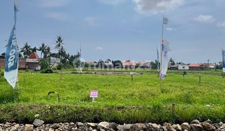 Signature Living: Rumah Modern Eksklusif Pusat Kota Cilacap