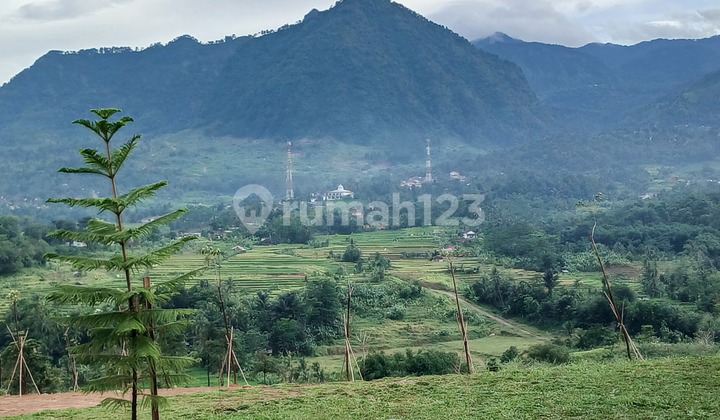 Kavling Hanjawong Legalitas Jelas Lingkungan Nyaman