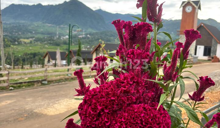 Tanah Murah di Bogor Jalur Puncak 2 Dekat dengan Destinasi Wisata