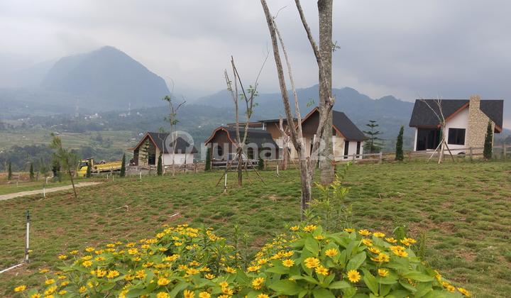 Tanah Murah Sudah SHM 500M² di Sukamakmur Bogor Timur Udara Asri Tanah Murah Sudah SHM 500M² di Sukamakmur Bogor Timur Udara Asri