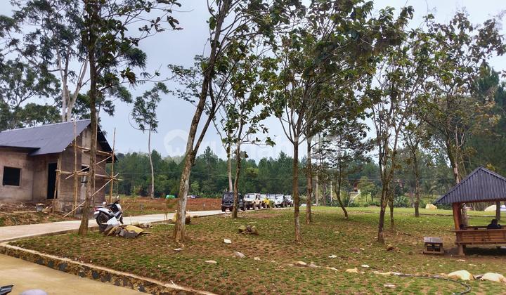 European-Themed Land Plots Near Tourist Destinations with SHM (Certificate of Land Ownership) European-Themed Land Plots Near Tourist Destinations with SHM (Certificate of Land Ownership)