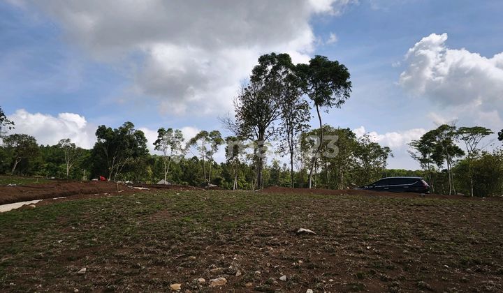 Tanah Kavling Murah di Bogor Bernuansa Eropa Classic Sudah SHM