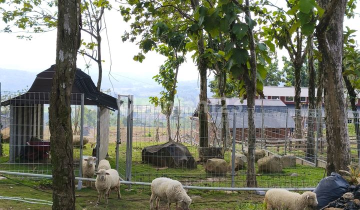 Tanah Kavling Bernuansa Eropa Classic di Bogor View Pegunungan