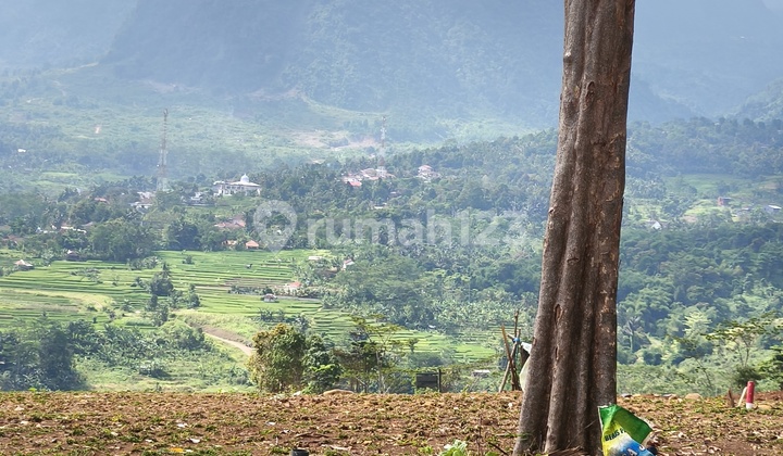 Tanah Kavling Murah Bernuansa Eropa Classic SHM 900.0M² di Bogor Tanah Kavling Murah Bernuansa Eropa Classic SHM 900.0M² di Bogor