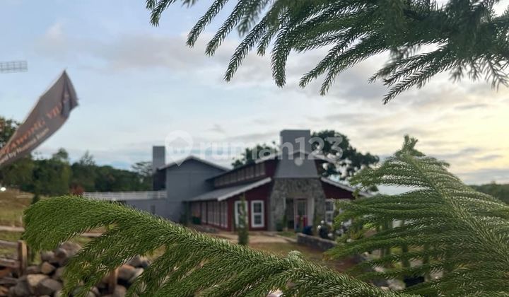 Tanah Murah Bernuansa Eropa Classic Sertifikat SHM Bebas Banjir Tanah Murah Bernuansa Eropa Classic Sertifikat SHM Bebas Banjir