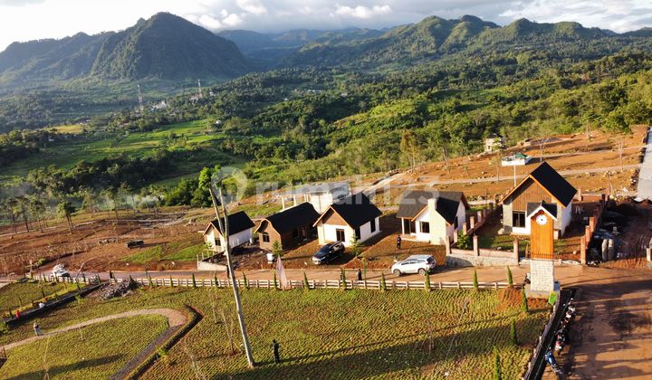 Tanah Kebun Murah Lokasi Strategis Dekat Tempat Wisata Free SHM Tanah Kebun Murah Lokasi Strategis Dekat Tempat Wisata Free SHM