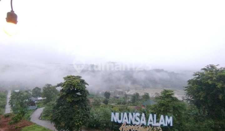 Tanah Murah Lokasi Strategis Ditengah Kawasan Wisata Alam Tanah Murah Lokasi Strategis Ditengah Kawasan Wisata Alam