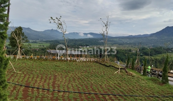 Cheap Land, Beautiful, Cool, Mountain View, Near Tourist Area, Free SHM Cheap Land, Beautiful, Cool, Mountain View, Near Tourist Area, Free SHM