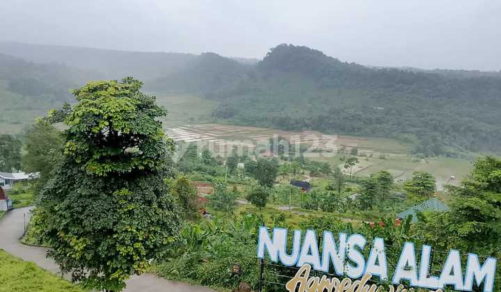 Tanah Murah Ditengah Kawasan Wisata Alam dengan View Pegunungan Tanah Murah Ditengah Kawasan Wisata Alam dengan View Pegunungan