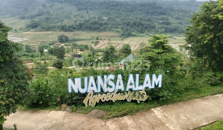 Tanah Murah Dekat Area Wisata View Persawahan dan Pegunungan