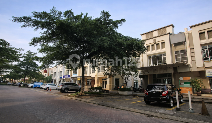 Quick Sale: Vanya Lakeside Commercial Building with Lake Access 2