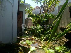 Jarang Ada! Rumah Konsep Villa di Denpasar, Private & Tenang 2