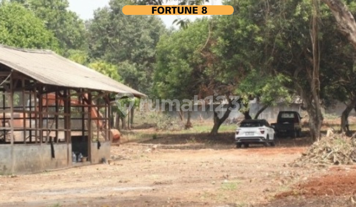 Dijual Tanah Siap Bangun di Cileungsi Bogor Dijual Tanah Siap Bangun di Cileungsi Bogor