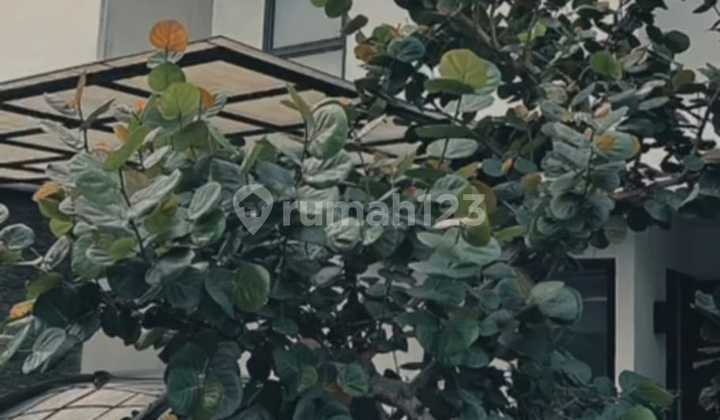 Jagakarsa Cluster Pinggir Jalan Besar Jakarta Selatan