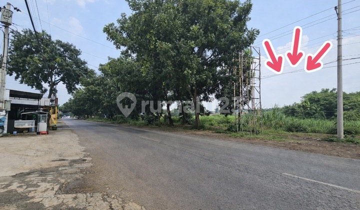 Strategic Land 20,000 m² Dual Frontage on Main Roads - Jl Mt Haryono & Jl Cut Nyak Dien, Slawi - Tegal | Freehold Certificate | Suitable for Hospitals, Malls, Factories, Housing