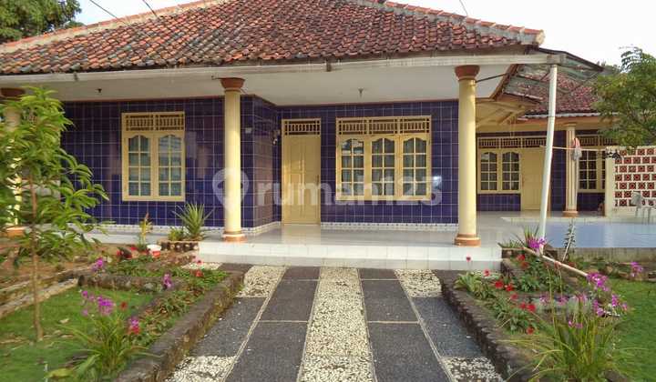 Rumah Asri di Cibungbulan Bogor Dilengkapi Empang 2