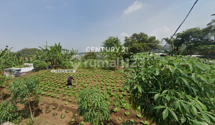 Tanah Luas untuk Hotel Villa Cafe di Jl Raya Lembang Bandung Tanah Luas untuk Hotel Villa Cafe di Jl Raya Lembang Bandung