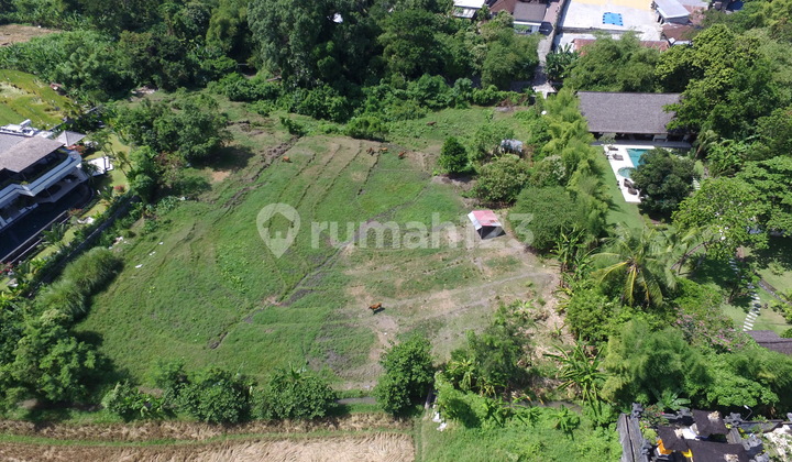 Prime 45.5 Are Freehold Land In Kerobokan For Luxury Development