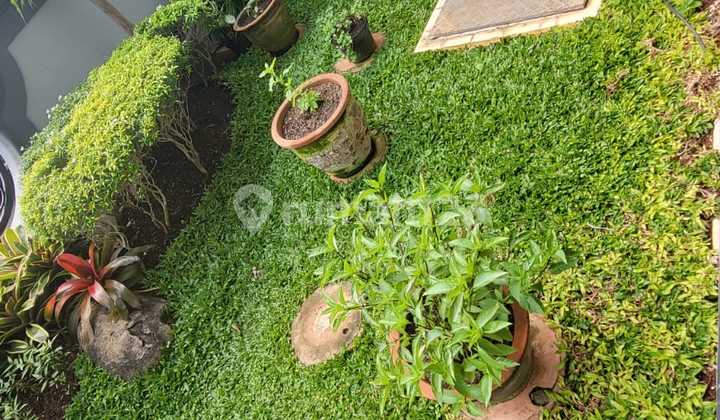 Nice Luxury Fully Furnished House in Sunter 2