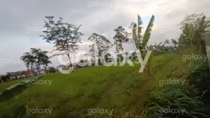 Strategic Land 5972 M2 Dieng Kalisongo Dau Malang Gmk03816