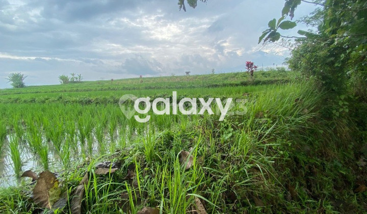 Land 1747 M2 For Sale in Singosari Malang Gmk02254 Land 1747 M2 For Sale in Singosari Malang Gmk02254