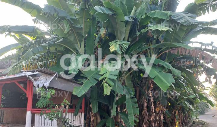 Tanah Kavling 5 X 15 di Bangil Pasuruan Gmk03739