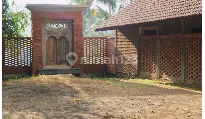 Freehold Luxury Estate 2