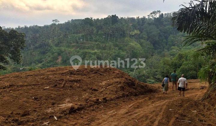 Premium Land 38 Are, Valley View in Sebatu