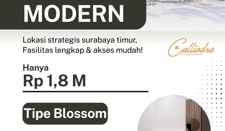 Calliodra Co Living " Garansi Paive Income 120 Juta / Tahun"