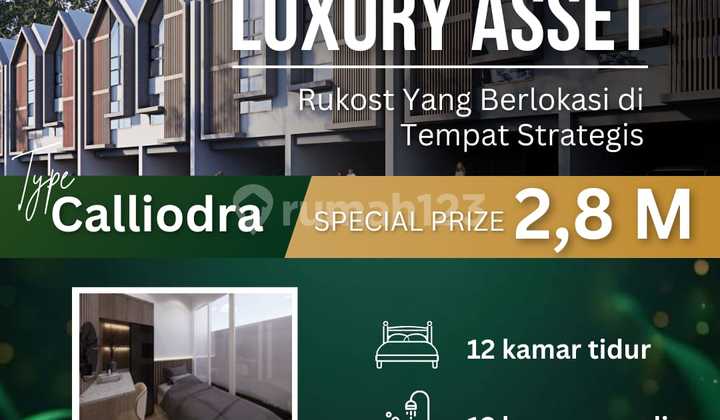 Calliodra Co Living Rukos Pertama di Surabaya yang Berani Kasih Pasive Income 288 Juta di Tahun Pertama Calliodra Co Living Rukos Pertama di Surabaya yang Berani Kasih Pasive Income 288 Juta di Tahun Pertama