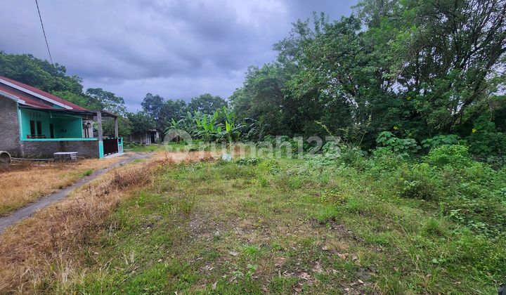 Tanah Pekarangan Strategis di Maguwoharjo Sleman Tanah Pekarangan Strategis di Maguwoharjo Sleman