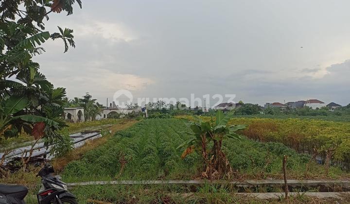 Tanah Pekarangan Strategis Area Maguwoharjo Utara Casa Grande