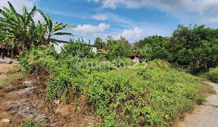 Strategic Hook Land Near Kasihan Field Strategic Hook Land Near Kasihan Field