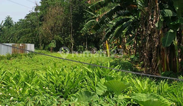 Cikeas Land for Sale