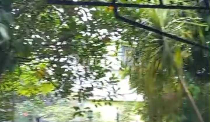 Dijual Rumah Kebun /Untuk Villa Murah di Bawah Harga Pasar di Cilebut 2