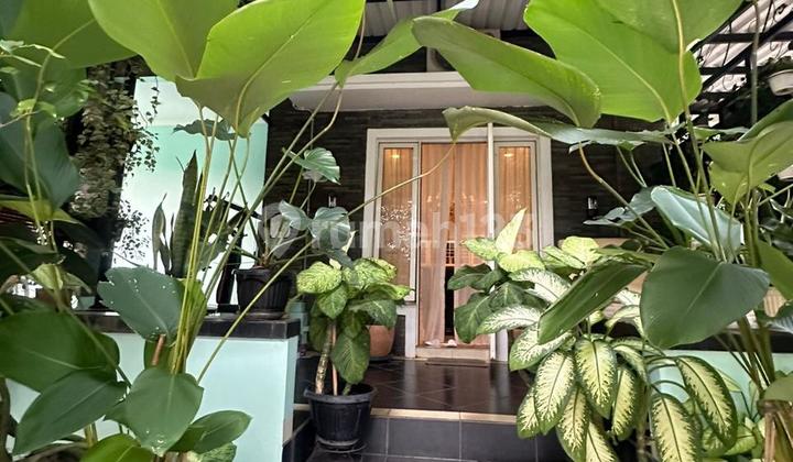 Forced to Sell Luxury House in Sumarecon Serpong