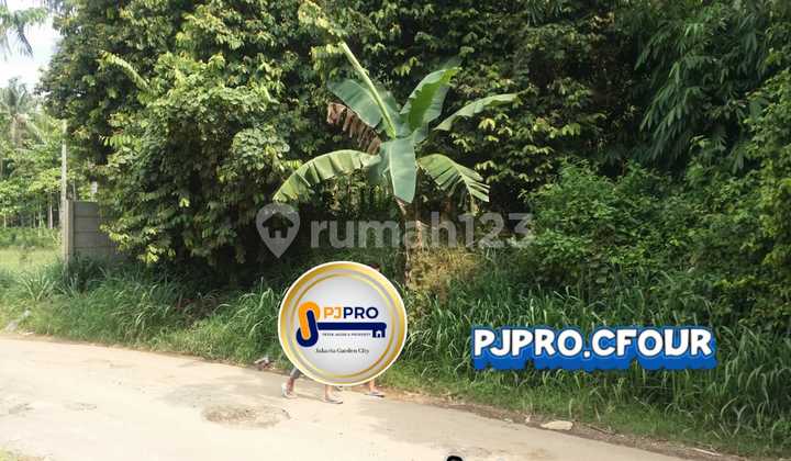 Tanah Bagus di Gunung Sindur Bogor Tanah Bagus di Gunung Sindur Bogor