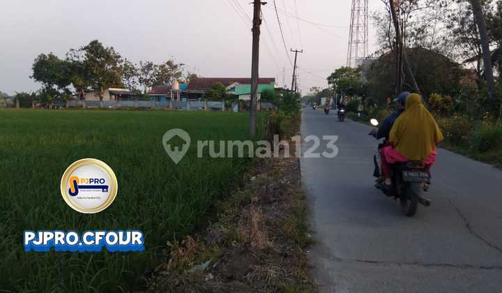 Tanah Bagus di Sukahurip, Sukatani Bekasi