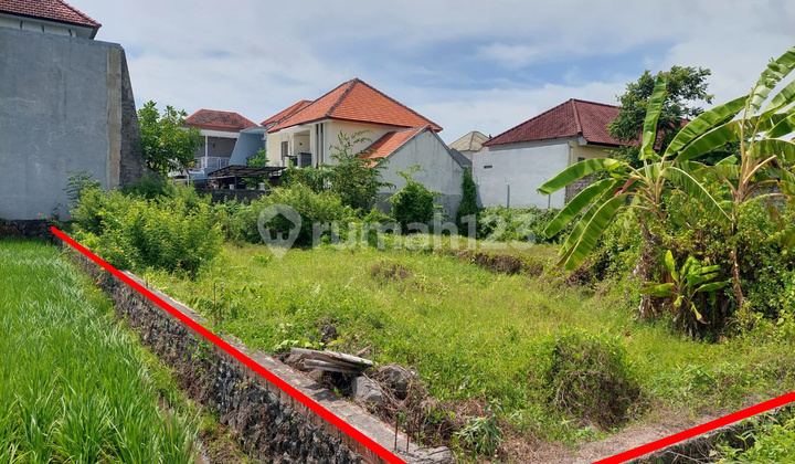 Tanah Jual Tukad Badung Murah Tanah Jual Tukad Badung Murah