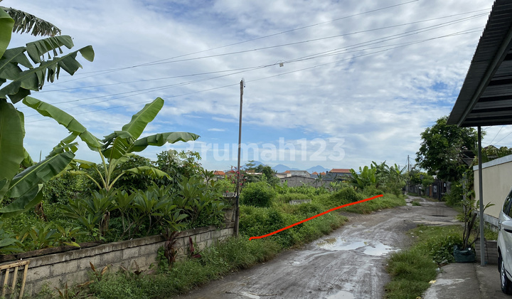 Land for Sale Cempaka Putih Sanur Kaja Green Belt 17.35 Are Land for Sale Cempaka Putih Sanur Kaja Green Belt 17.35 Are