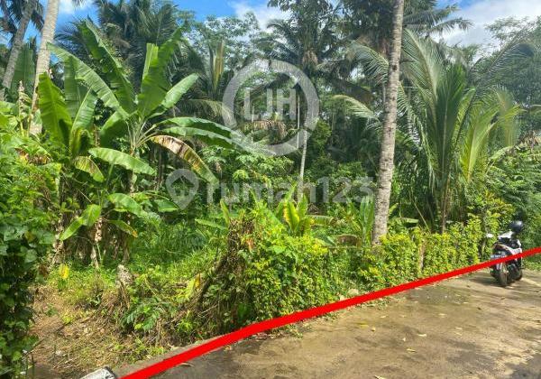 Land For Sale At Sidan, Gianyar, Located In Quiet Area, Suitable For Plantation, Close To Temesi Waterfall And Gianyar City