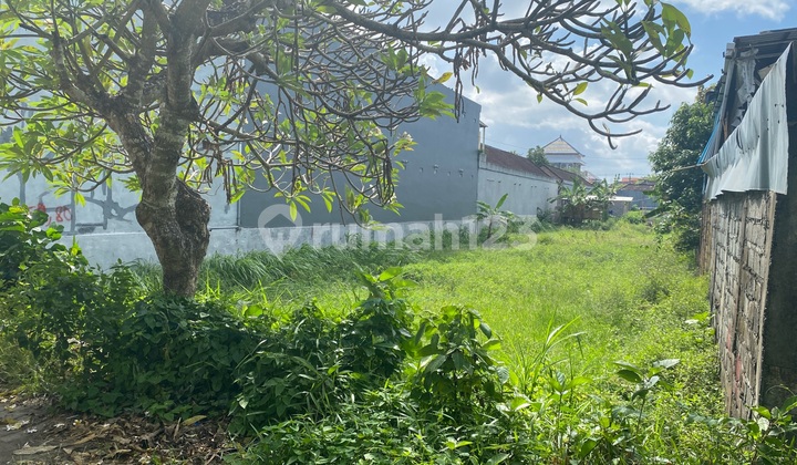 Tanah Sewa Murah di Jl Sedap Malam 5 Are Cocok untuk Kosan Tanah Sewa Murah di Jl Sedap Malam 5 Are Cocok untuk Kosan