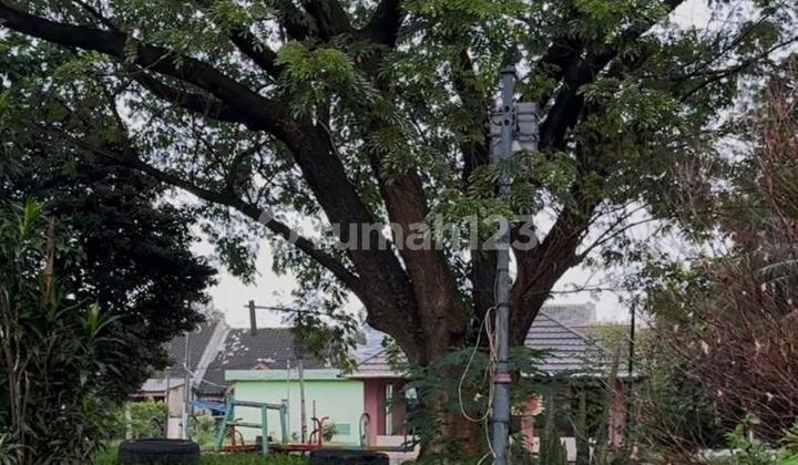 For Rent House Fronting Park in Taman Sentosa Cikarang 2