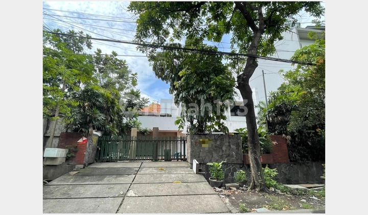 Rumah Murah di Pusat Kota Jl Progo, Dekat Taman Bungkul Surabaya Rumah Murah di Pusat Kota Jl Progo, Dekat Taman Bungkul Surabaya