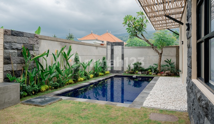 New Villa in Lovina - Singaraja