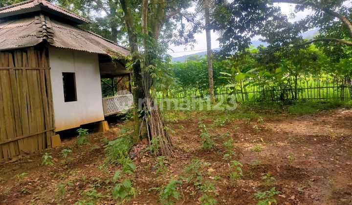 Sell Cheap Land Banten