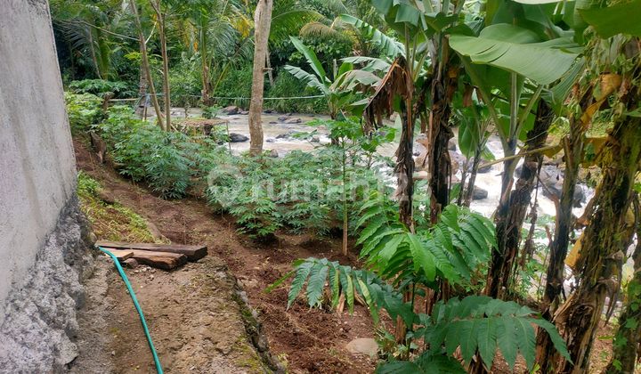 Cheap Land for Sale in Serang
