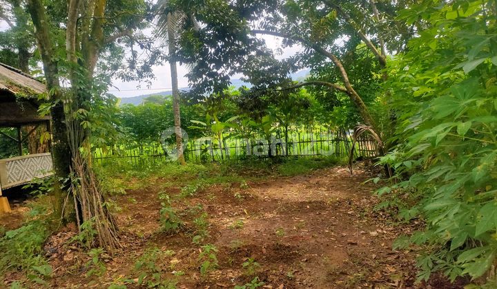 Sell Cheap Land Banten