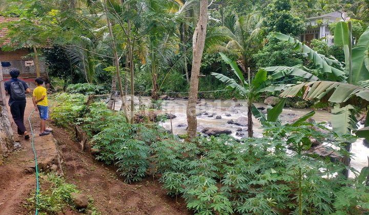 Cheap Land for Sale in Serang